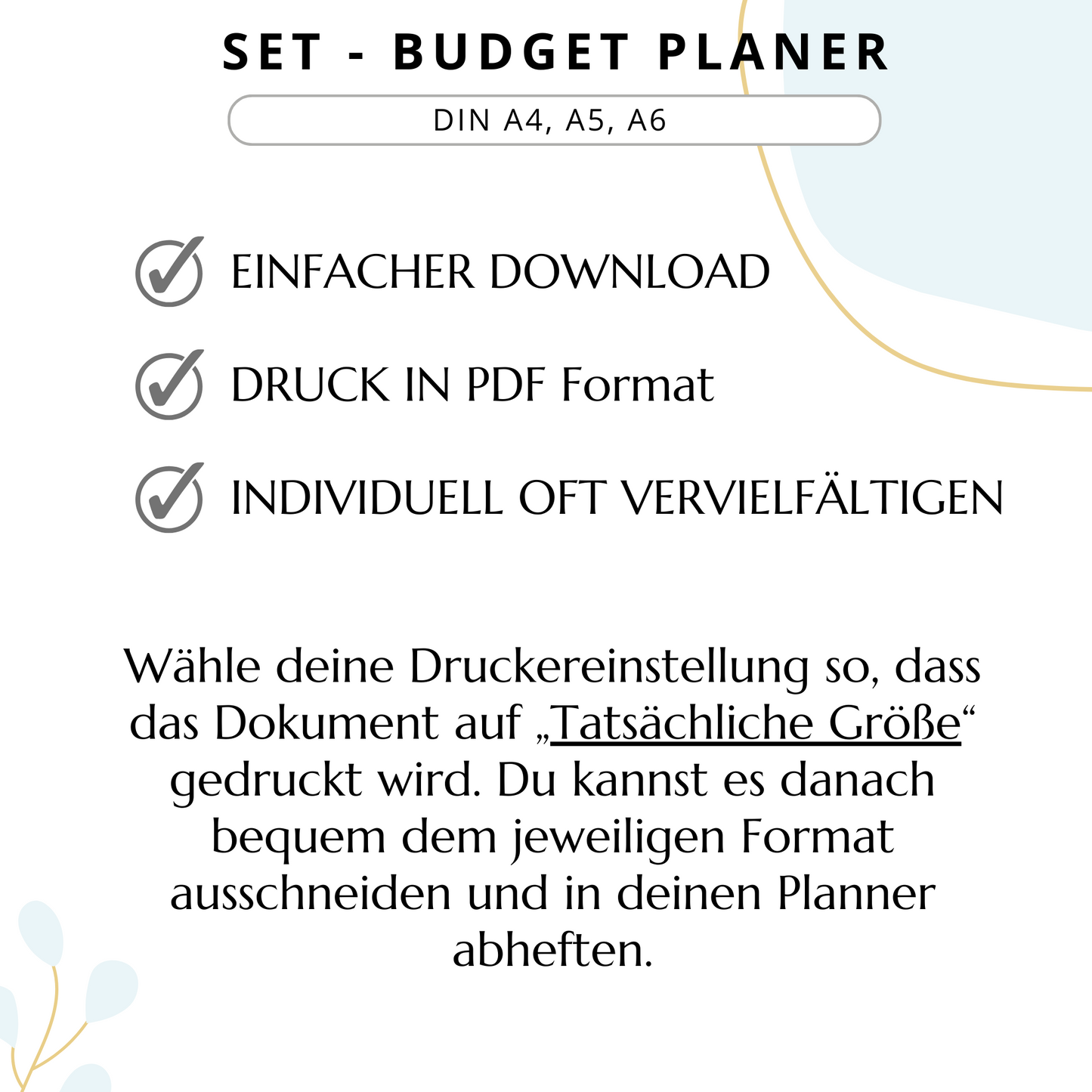 Budget Planer Einsteiger, 4 Varianten, blau