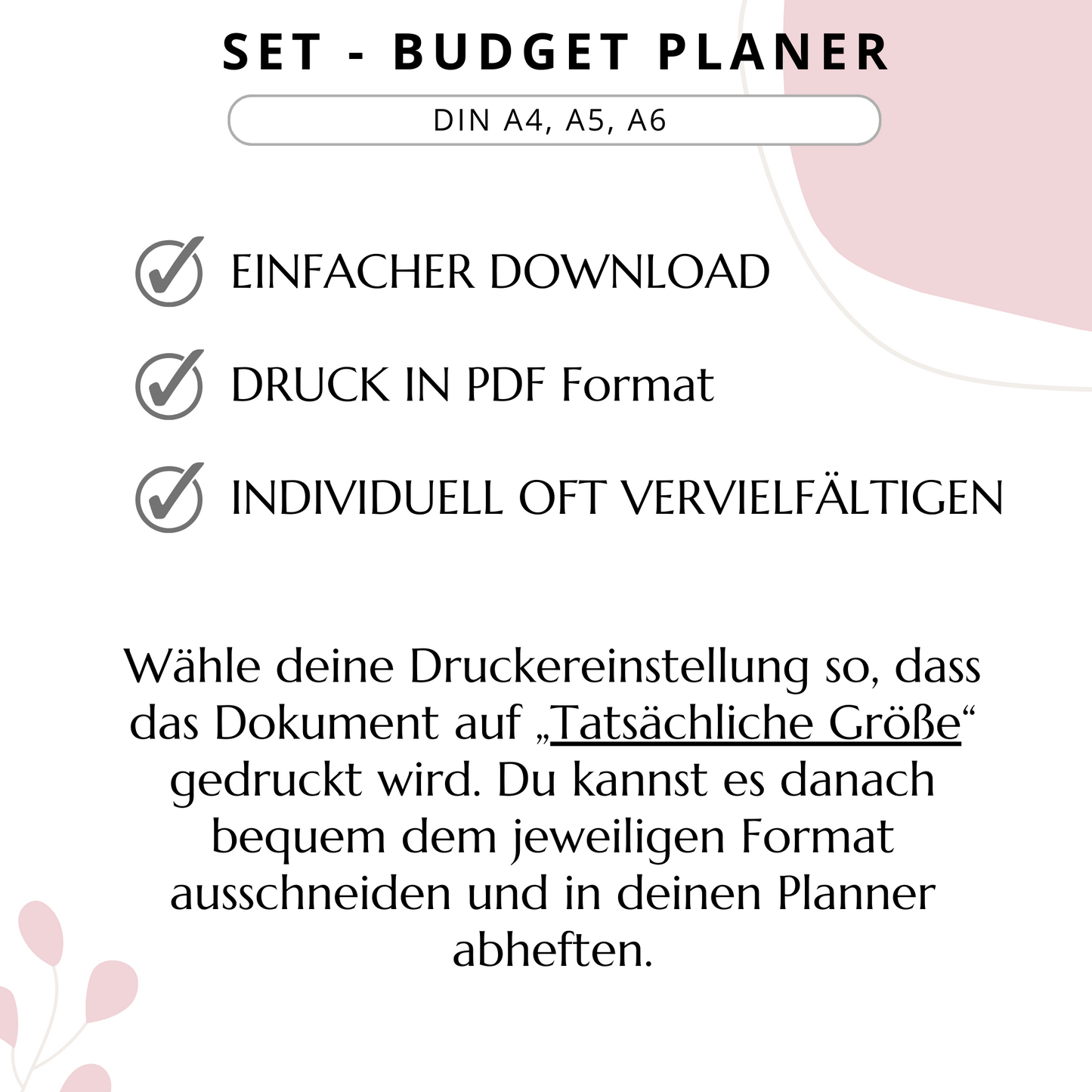 Budget Planer 4 Varianten, rosa II