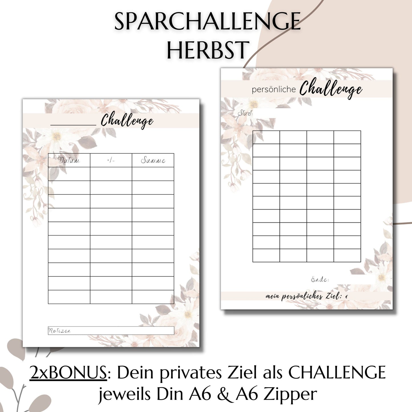 Sparchallenge 1-50 Euro, beige