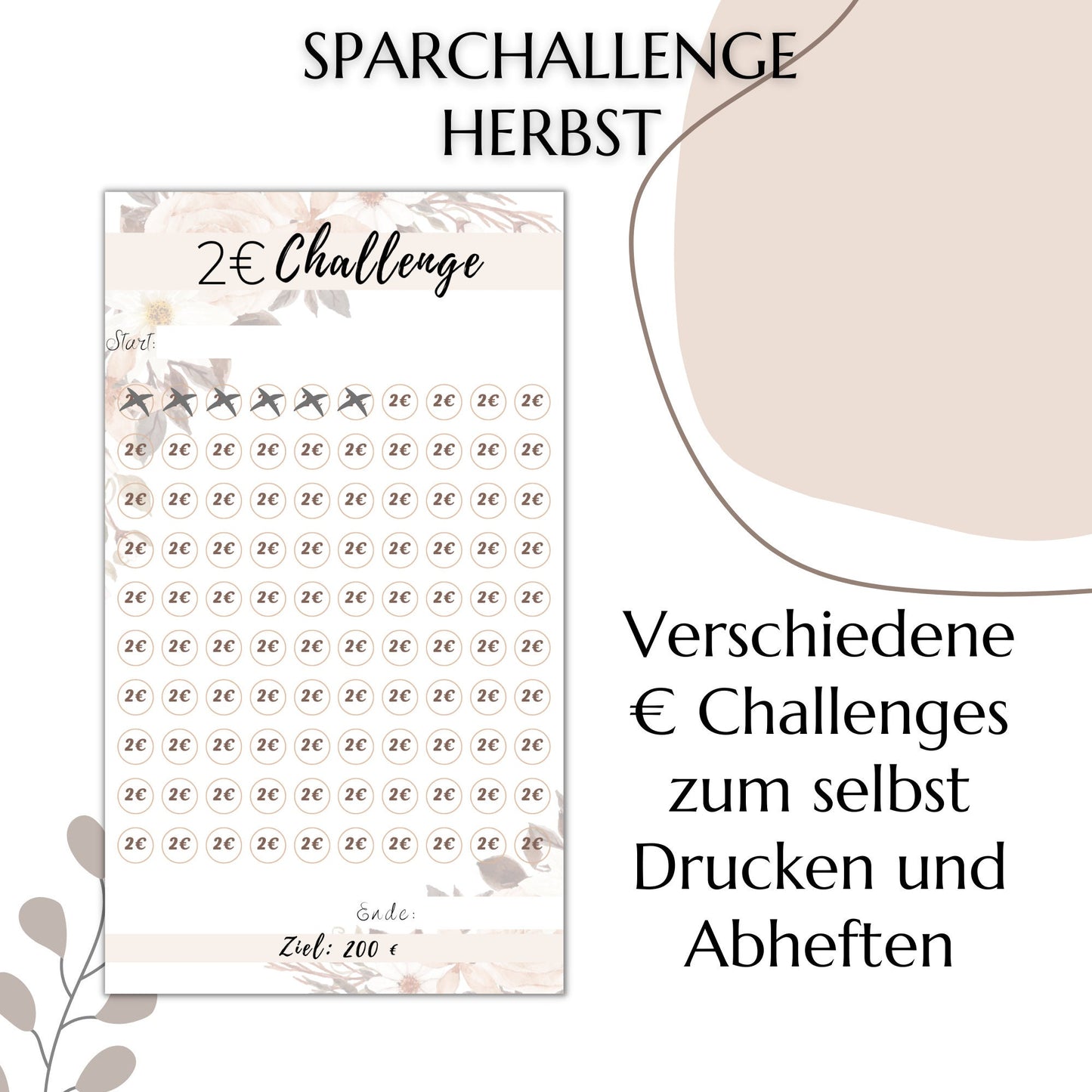 Sparchallenge 1-50 Euro, beige