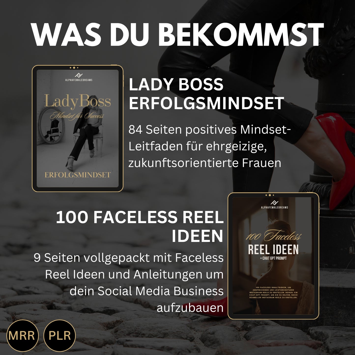 Faceless digitales Marketing MRR SET, digitale Produkte, Master-Resell-Rechte, digitales Marketing, Verkaufe Social Media +Bonus,