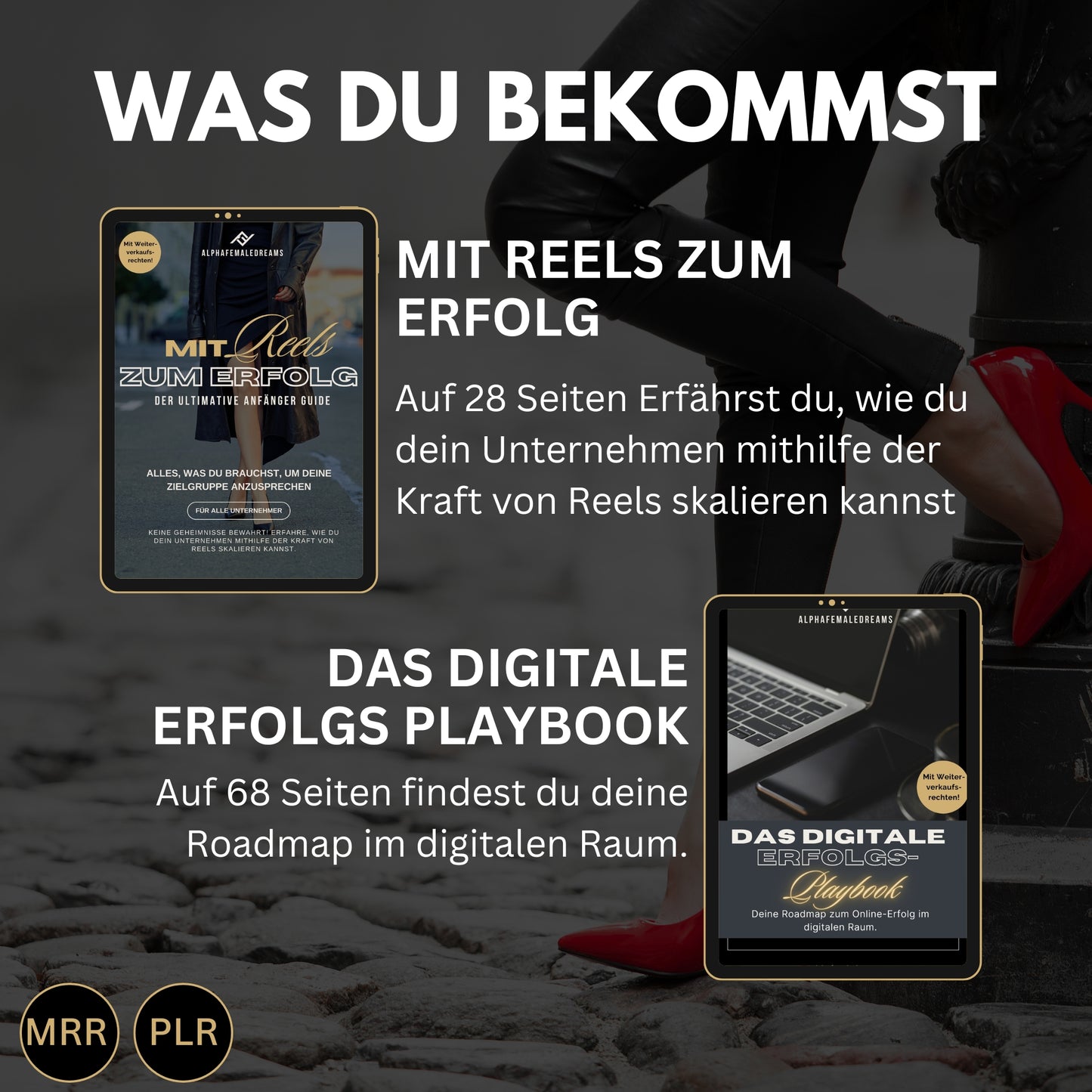 Faceless digitales Marketing MRR SET, digitale Produkte, Master-Resell-Rechte, digitales Marketing, Verkaufe Social Media +Bonus,