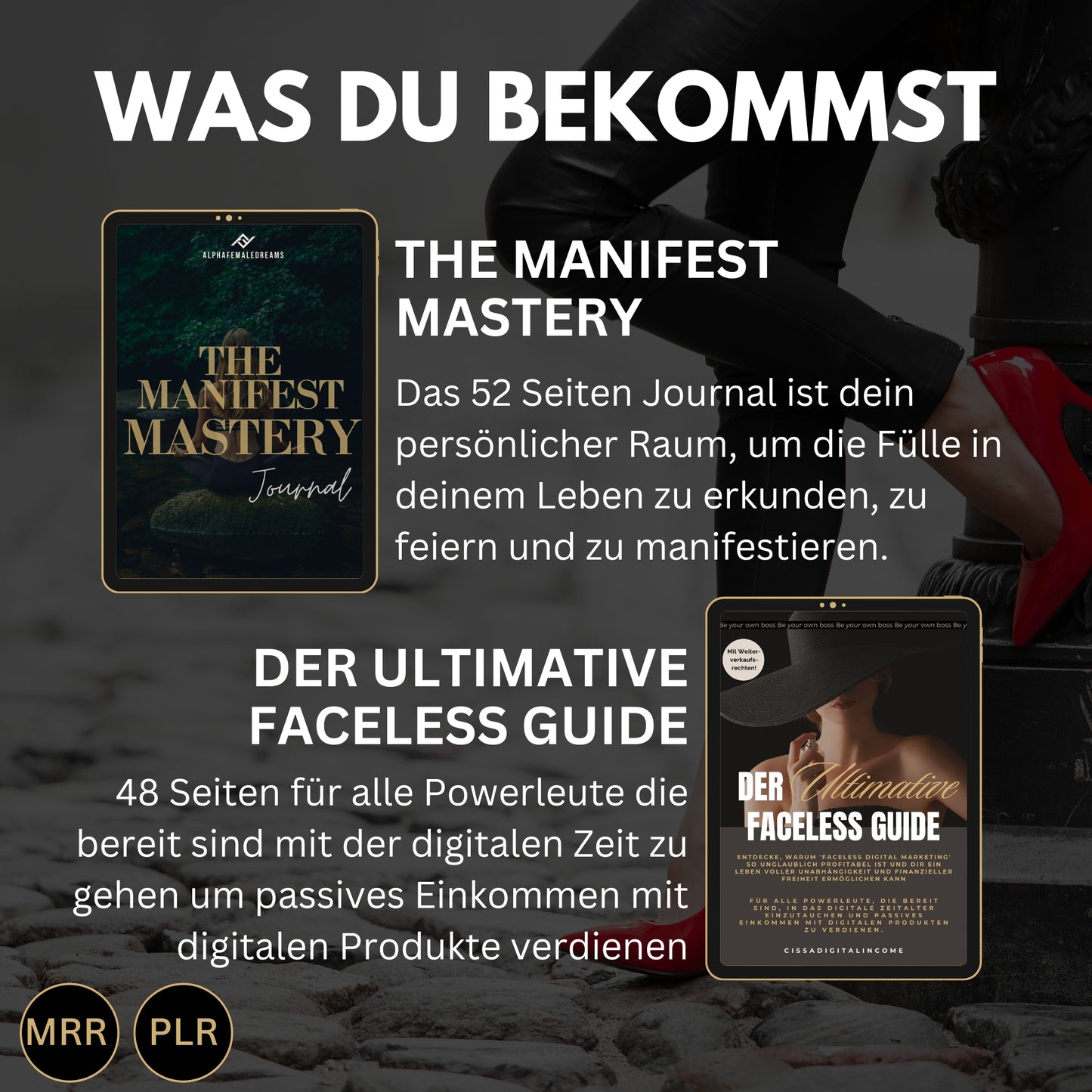 Faceless digitales Marketing MRR SET, digitale Produkte, Master-Resell-Rechte, digitales Marketing, Verkaufe Social Media +Bonus,