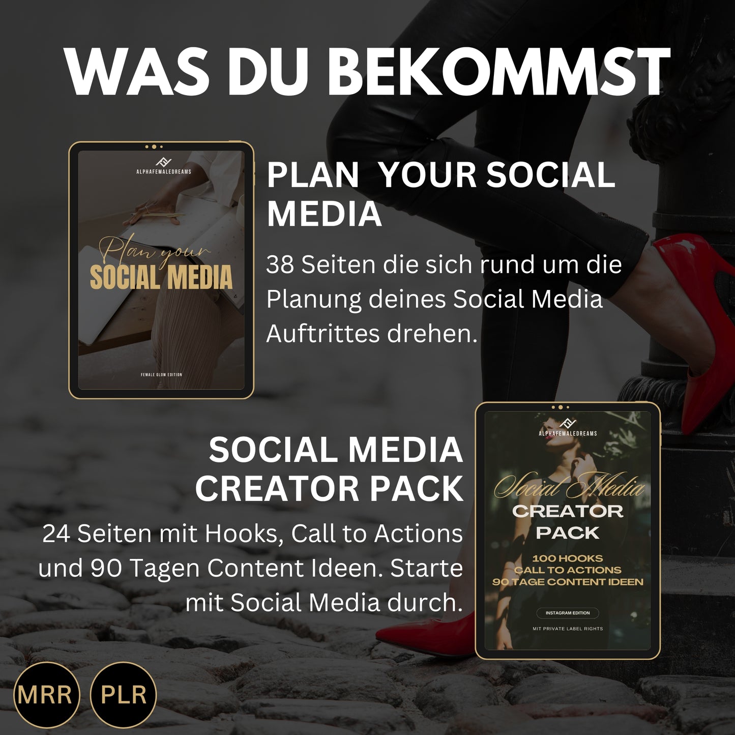 Faceless digitales Marketing MRR SET, digitale Produkte, Master-Resell-Rechte, digitales Marketing, Verkaufe Social Media +Bonus,