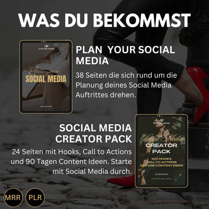 Faceless digitales Marketing MRR SET, digitale Produkte, Master-Resell-Rechte, digitales Marketing, Verkaufe Social Media +Bonus,