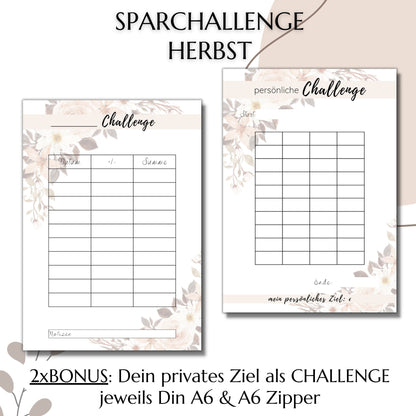 Sparchallenge 1-50 Euro, beige
