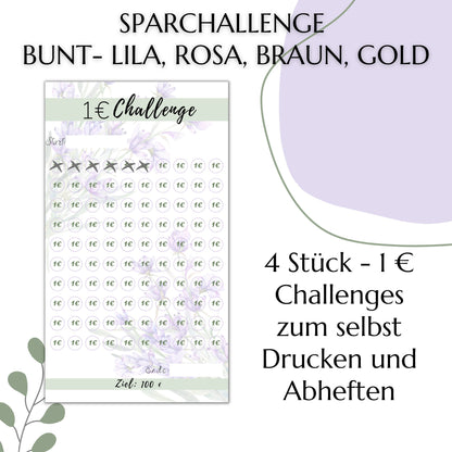 Sparchallenge 1 Euro, bunt