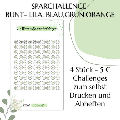 Sparchallenge 5 Euro, I