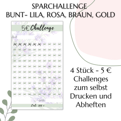 Sparchallenge 5 Euro, bunt