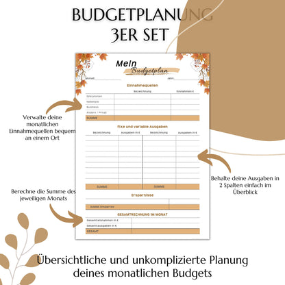 Budget Planer, braun, A4, A5 & A6, inkl. Jahresansicht