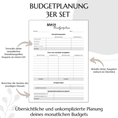 Budget Planer, grau, A4, A5 & A6, inkl. Jahresansicht