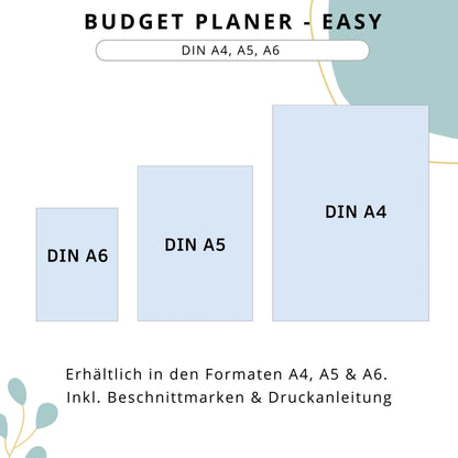 Budget Planer Easy, petrol