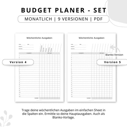 Budget Planer- SET 9 Varianten, grau minimal